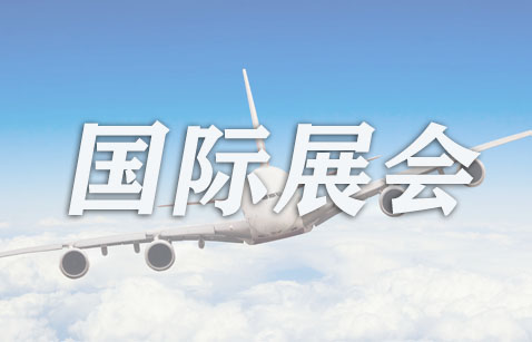 国际航空运输协会全球峰会